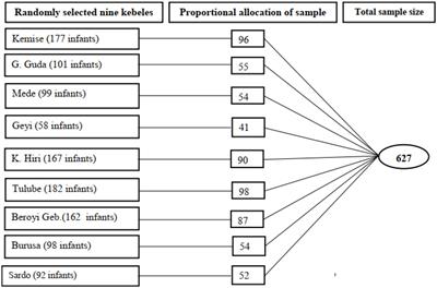 Knowledge and practice of infant exposure to sunlight among mothers in the rural villages of Mettu district, southwest Ethiopia